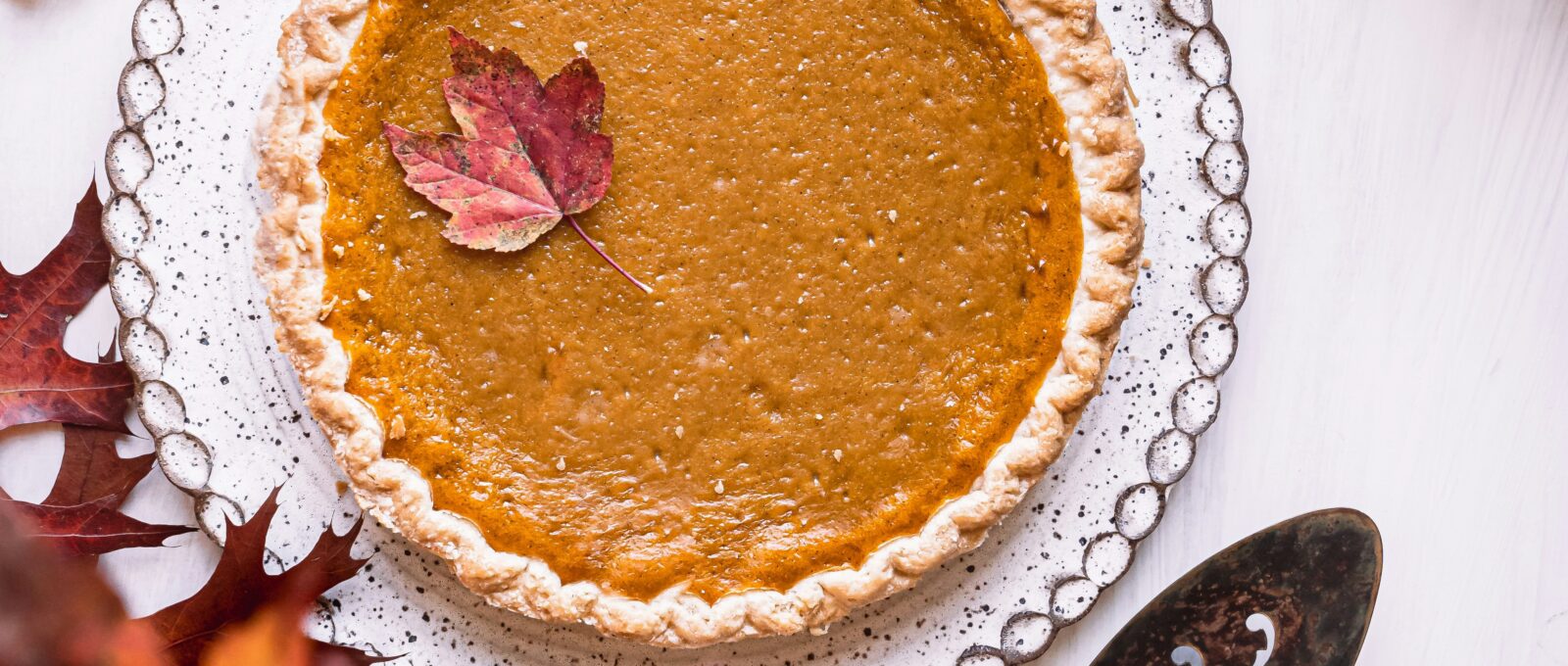 Pumpkin Pie Thanksgiving